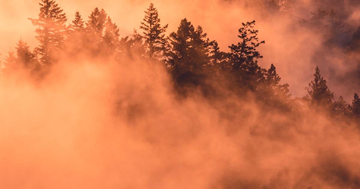 Wrongful Death Claims: Legal Recourse for Fatal Car Accidents